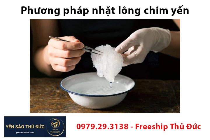 Phương pháp nhặt lông chim yến sơ đồ từng bước