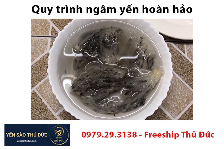 Quy trình ngâm yến hoàn hảo