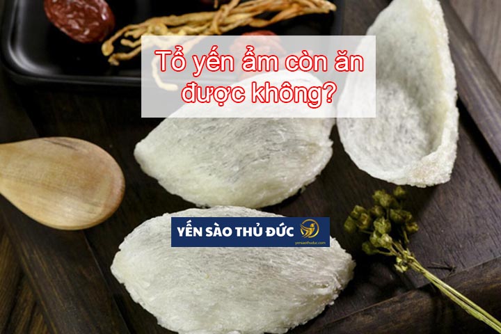 Tổ yến ẩm còn ăn được không? Cách bảo quản để tổ yến không bị ẩm là gì?