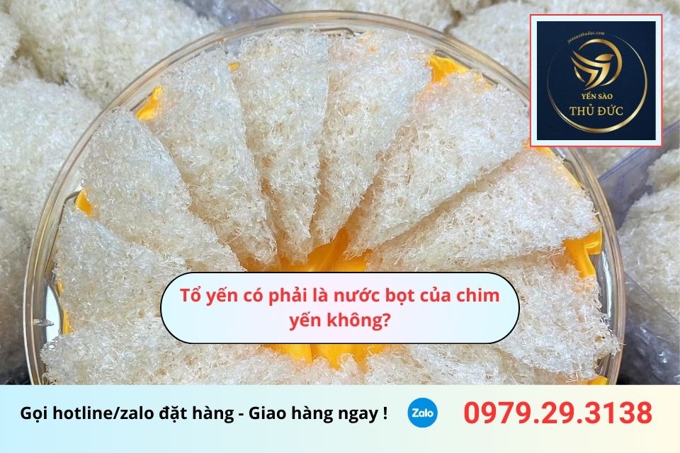 Tổ yến có phải là nước bọt của chim yến không?