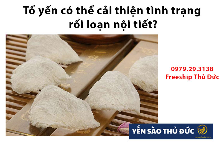 Tổ yến có thể cải thiện tình trạng rối loạn nội tiết?