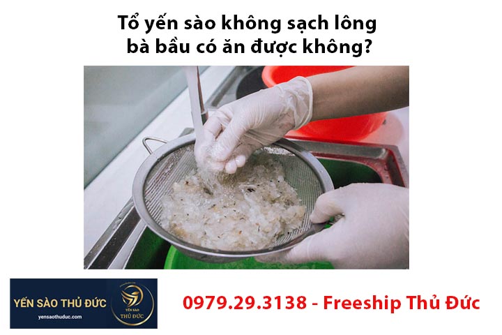 Tổ yến sào không sạch lông bà bầu có ăn được không?