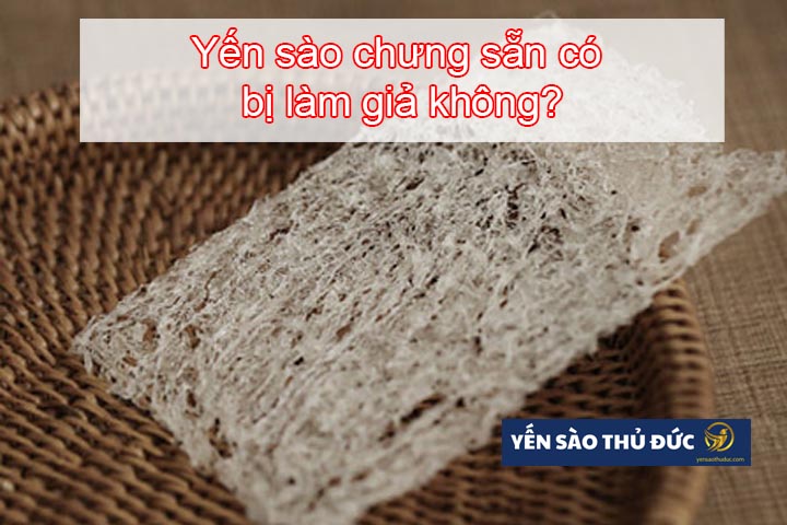 Yến sào chưng sẵn có bị làm giả không?