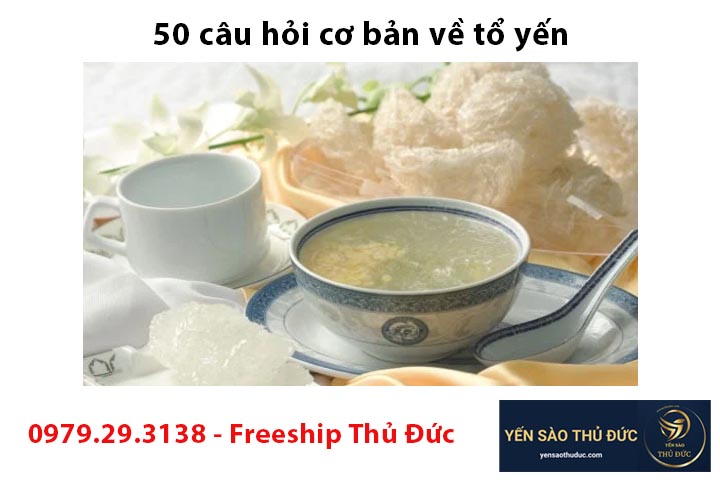 50 câu hỏi cơ bản về tổ yến cho bạn biết thêm về tổ yến