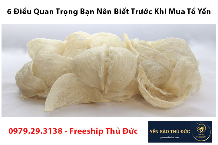 6 Điều Quan Trọng Bạn Nên Biết Trước Khi Mua Tổ Yến