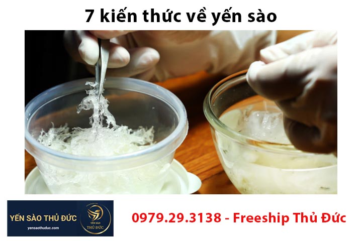 7 kiến ​​thức về yến sào cần phải xem lại bài chưa ổn