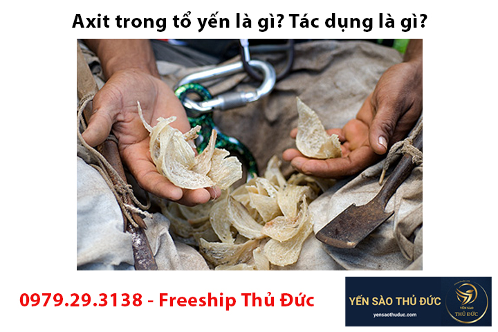 Axit trong tổ yến là gì? Tác dụng là gì?