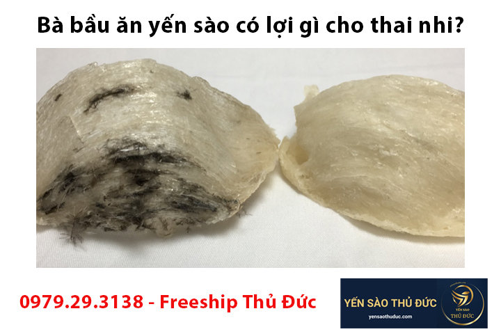 Bà bầu ăn yến sào có lợi gì cho thai nhi?