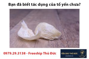 Bạn đã biết tác dụng của tổ yến chưa?