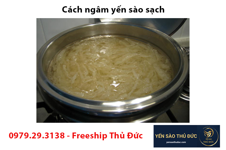 Cách ngâm yến sào sạch