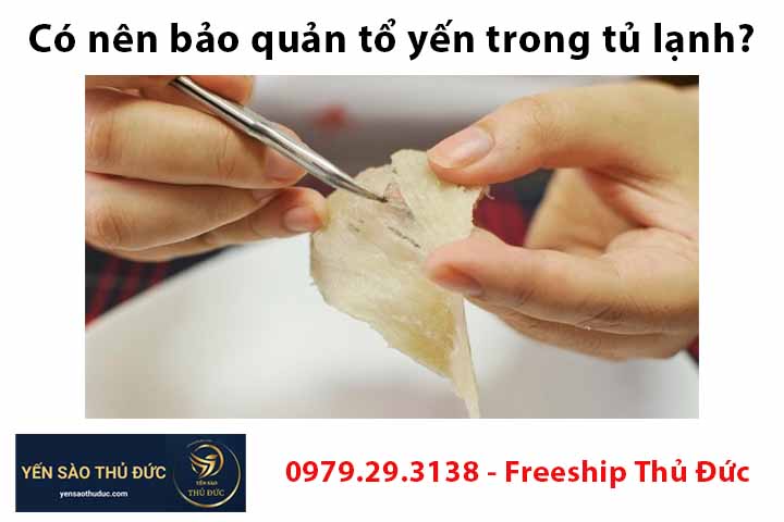 Có nên bảo quản tổ yến trong tủ lạnh?