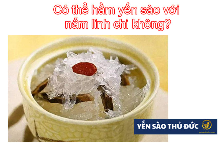 Có thể hầm yến sào với nấm linh chi