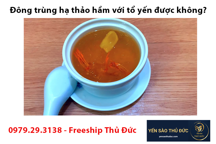 Đông trùng hạ thảo hầm với tổ yến được không?