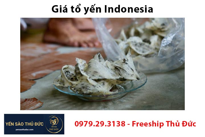 Giá tổ yến Indonesia và giá tổ yến chợ đầu mối