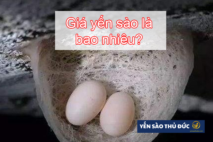 Giá yến sào là bao nhiêu?