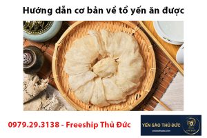 Hướng dẫn cơ bản về tổ yến ăn được và công dụng của nó