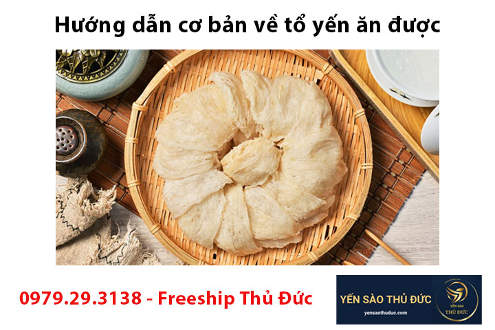 Hướng dẫn cơ bản về tổ yến ăn được và công dụng của nó