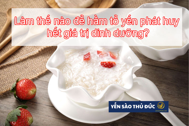 Làm thế nào để hầm tổ yến phát huy hết giá trị dinh dưỡng? 2 Làm thế nào để hầm tổ yến phát huy hết giá trị dinh dưỡng?