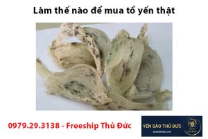 Làm thế nào để mua tổ yến thật