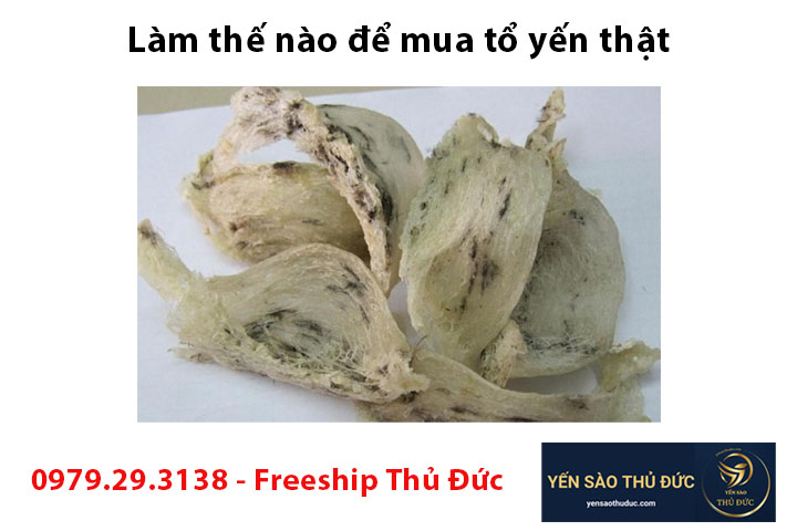 Làm thế nào để mua tổ yến thật