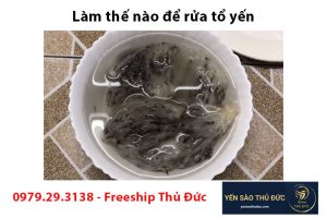 Làm thế nào để rửa tổ yến