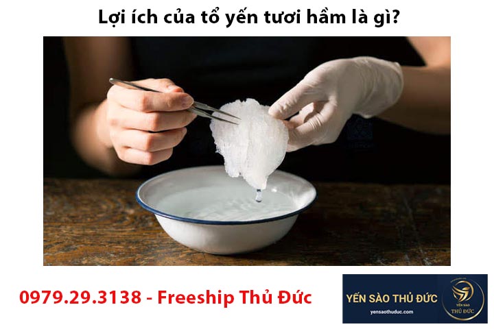 Lợi ích của tổ yến tươi hầm là gì?