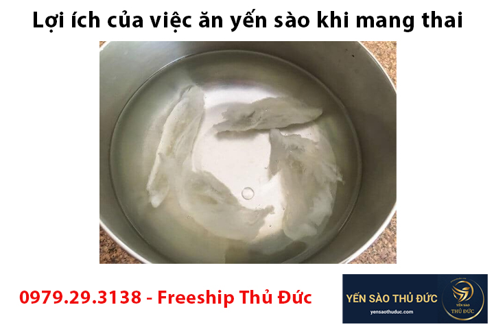 Lợi ích của việc ăn yến sào khi mang thai