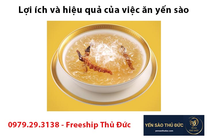 Lợi ích và hiệu quả của việc ăn yến sào