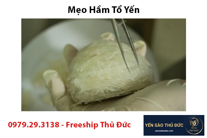 Mẹo hầm yến, chế biến món ăn từ yến