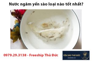 Nước ngâm yến sào loại nào tốt nhất?