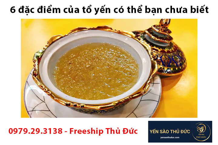 Sáu đặc điểm của tổ yến có thể bạn chưa biết