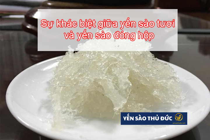 Sự khác biệt giữa yến sào tươi và yến sào đóng hộp