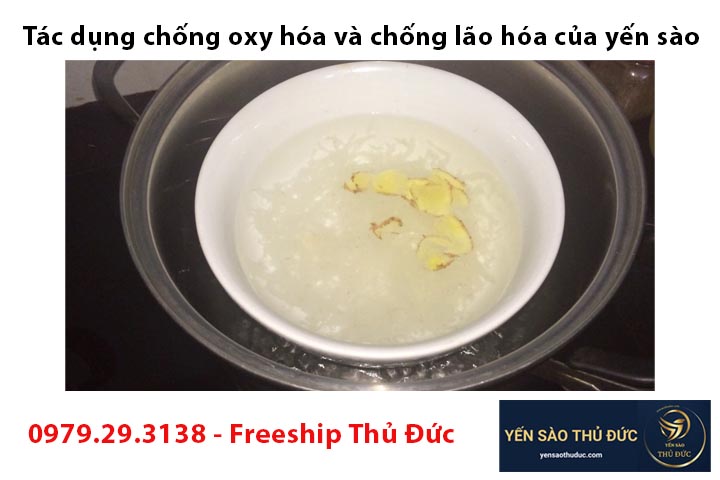 Tác dụng chống oxy hóa và chống lão hóa của yến sào