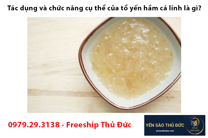 Tác dụng và chức năng cụ thể của tổ yến hầm cá linh là gì?