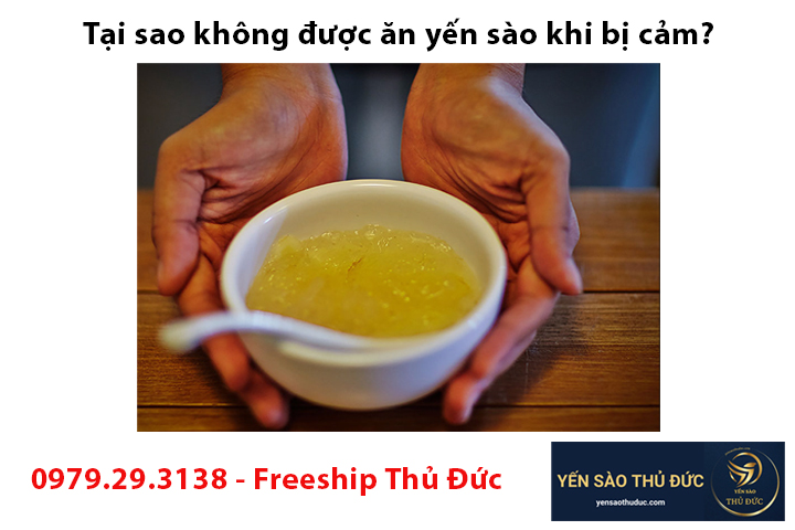 Tại sao không được ăn yến sào khi bị cảm?