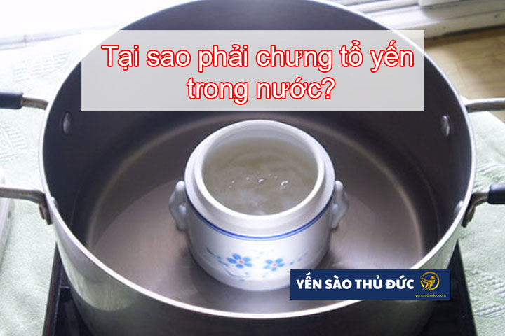 Tại sao phải chưng tổ yến trong nước?