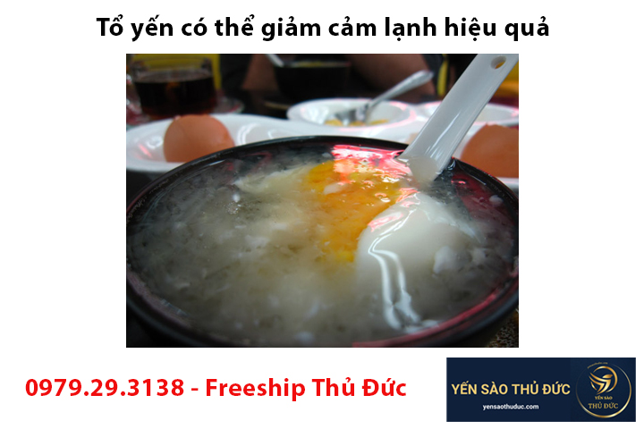 Tổ yến có thể giảm cảm lạnh hiệu quả