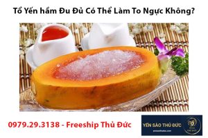 Tổ Yến hầm Đu Đủ Có Thể Làm To Ngực Không?