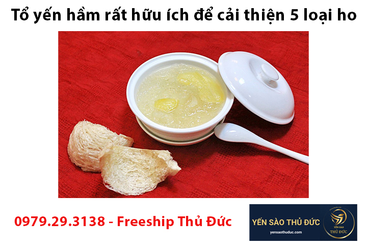 Tổ yến hầm rất hữu ích để cải thiện 5 loại ho trong mùa đông