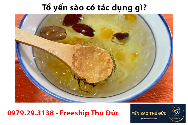 Tổ yến sào có tác dụng gì? Ăn một năm rồi bạn sẽ biết