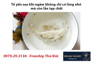 Tổ yến sau khi ngâm không chỉ có lông nhỏ mà còn lẫn tạp chất