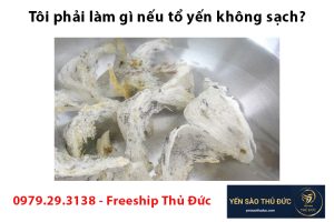 Tôi phải làm gì nếu tổ yến không sạch?