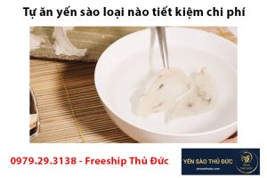 Tự ăn yến sào loại nào tiết kiệm chi phí, yến sào loại nào tốt.