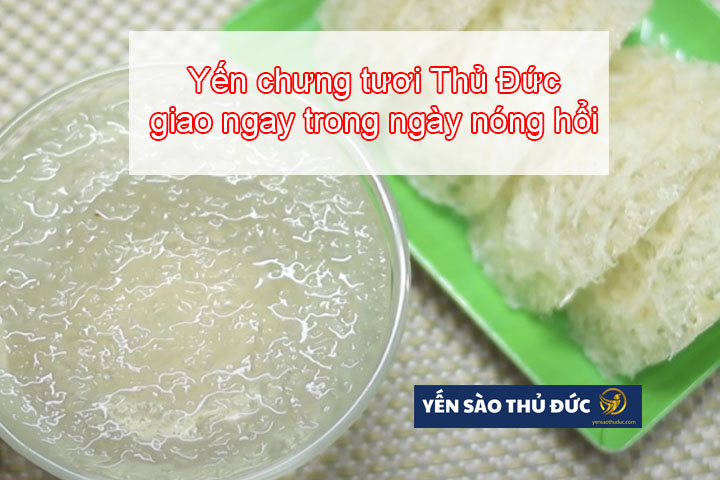Sự khác biệt giữa yến sào tươi và yến sào đóng hộp 3 Yến chưng tươi Thủ Đức ngon bổ chất lượng. Đặt hàng giao ngay trong 4 giờ.