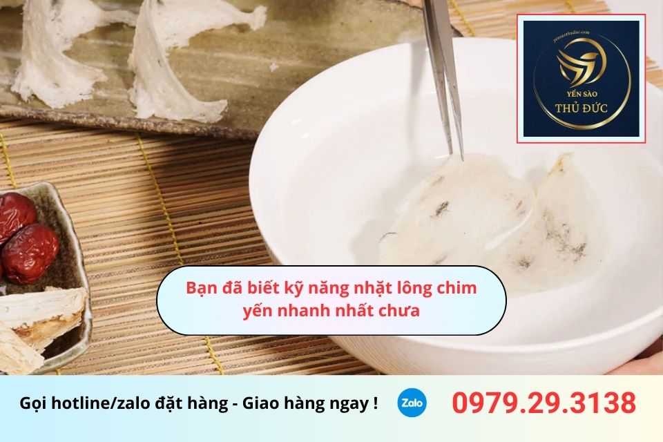 Bạn đã biết kỹ năng nhặt lông chim yến nhanh nhất chưa 2 Bạn đã biết kỹ năng nhặt lông chim yến nhanh nhất chưa