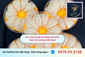 Các loại tổ yến ăn được tốt nhất trên thị trường