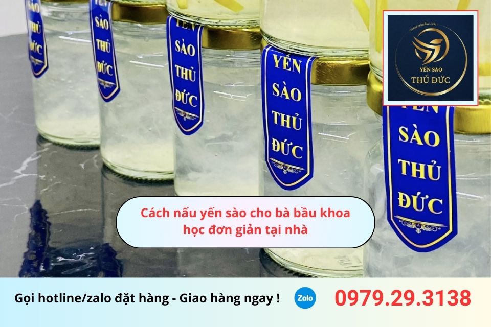 Cách nấu yến sào cho bà bầu khoa học đơn giản tại nhà 2 Cách nấu yến sào cho bà bầu khoa học đơn giản tại nhà