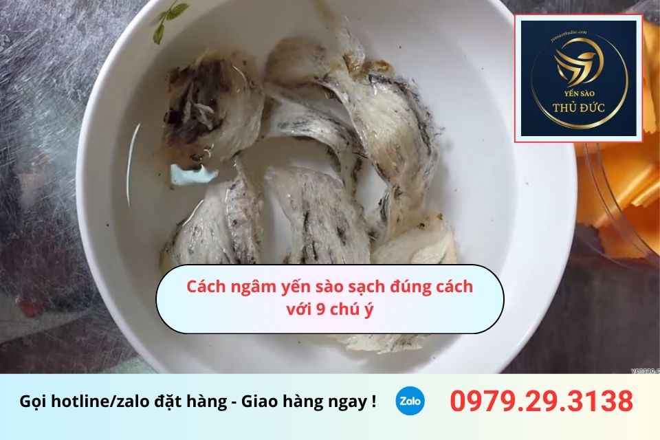 Cách ngâm yến sào sạch đúng cách với 9 chú ý 2 Cách ngâm yến sào sạch đúng cách với 9 chú ý