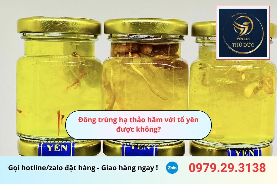 Đông trùng hạ thảo hầm với tổ yến được không?