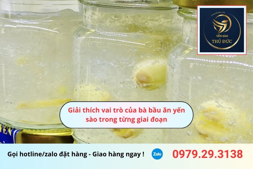Giải thích vai trò của bà bầu ăn yến sào trong từng giai đoạn